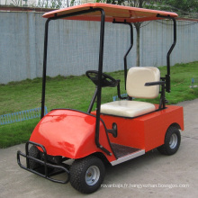 Buggy de Golf électrique monoplace de Chine usine batterie puissance (DG-C1)